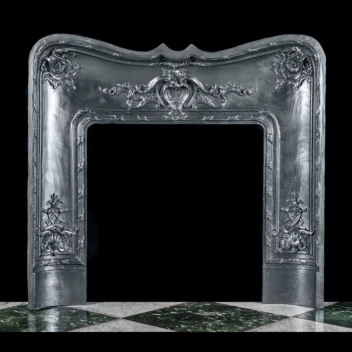  A Rococo Style Cast Iron Fire Insert